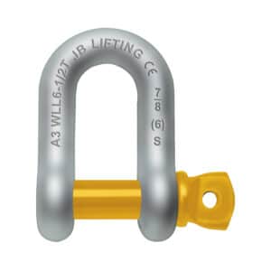 D SHAPED FORGED CHAIN SHACKLE WITH SCREW PIN