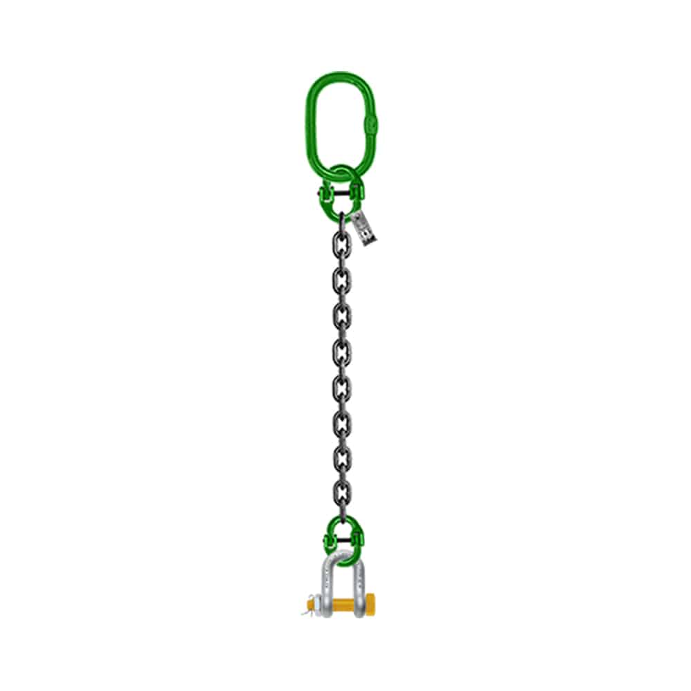 ONE LEG CHAIN SLING WITH DSHAPED SHACKLE NUT & BOLT TYPE Safe and