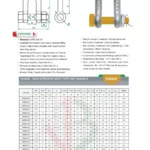 d-shaped-forged-chain-shackle-with-bolt-pin-saudi-arabia