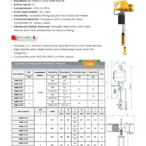 electric-chain-hoist-block-without-trolley-in-saudi-arabia