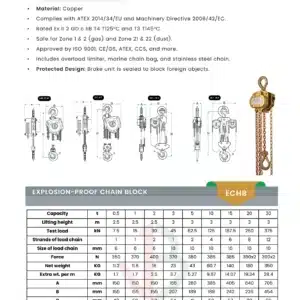 explosion-proof chain block 5 explosion-proof-chain-block-in-saudia-arabia